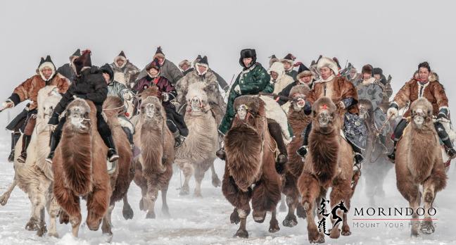 Winter Camel Festival Ride